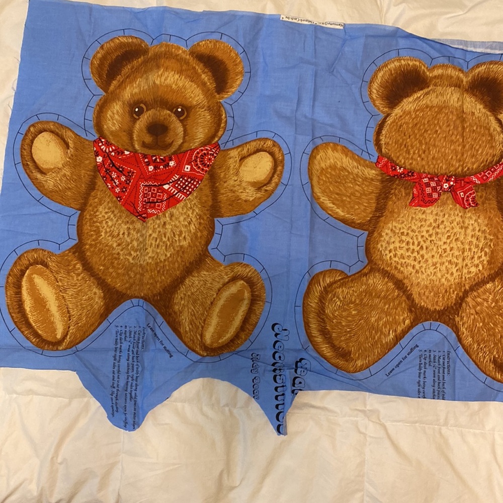 Bear Necessities Teddy Bear to See for your Loving Youngster